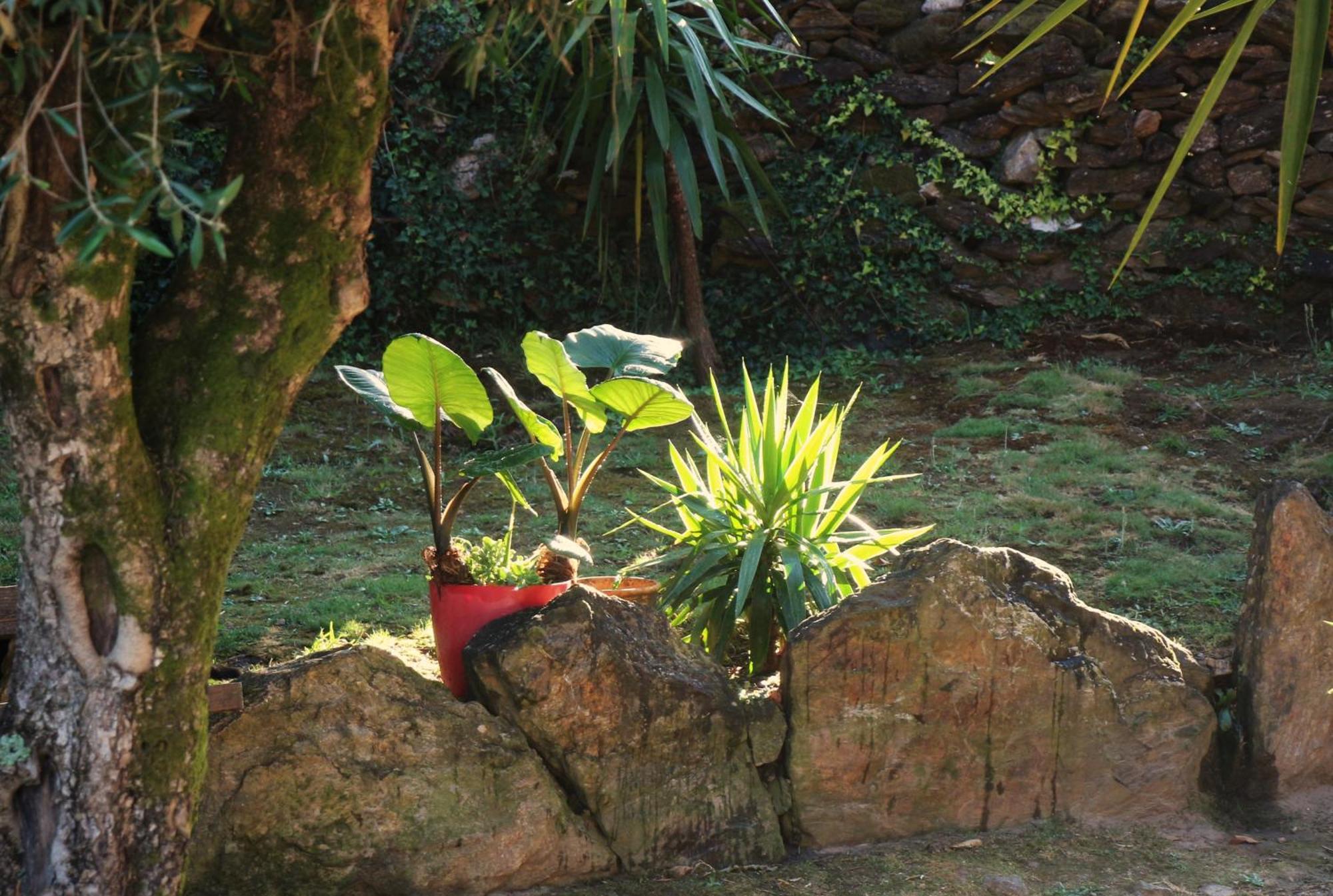 Quintinha D'Arga Villa Caminha Bagian luar foto